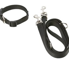 Hundeleine+Hundehalsband.Gr.M