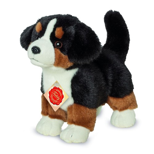 Teddy hermann berner - hermann,
