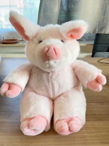 Pink schweinchen kuscheltiere - pink,