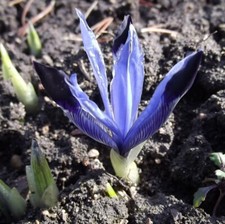 @ (◕‿◕)\@ ANGEBOT 