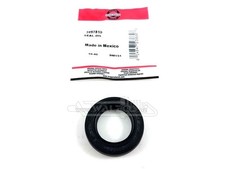 Original Briggs & Stratton Wellendichtring 399781S Quantum Intek Europa PTO Side