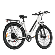 Elektrofahrrad 36V20AH eBike