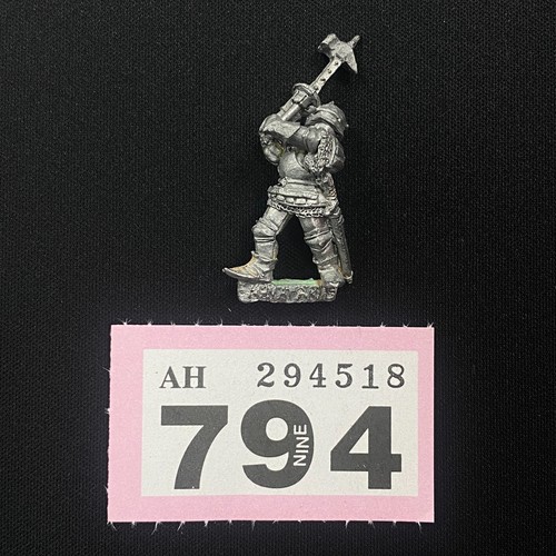 C26 man arms with pole - man-at-arms,