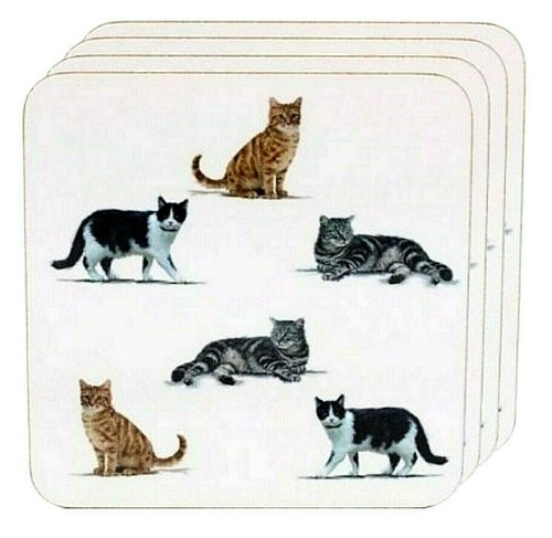 4er set untersetzer purrfect - untersetzer,