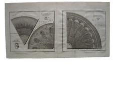 2 Mikroskopische Darstellungen