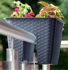 Blumenkasten Balkonkasten