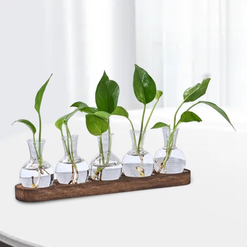 Blume vase moderne blumentopf - blume,
