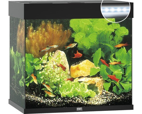 Aquarium juwel lido - aquarium,