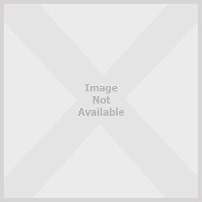 Sleezy the fox forde - sleezy,