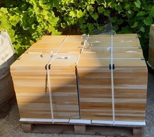 Sandsteinplatten 30x60x4 cm