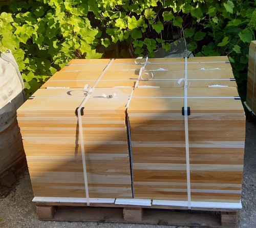 Sandsteinplatten 30x60x4 - , cm