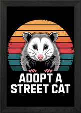 Opossum Street Cat Adoption