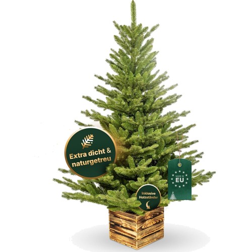 Weihnachtsbaum tanne 150cm - weihnachtsbaum,
