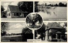 Ak Brzeźno Briesenhorst in
