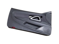 Türverkleidung vorne links