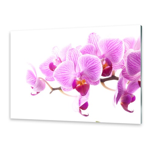 Acrylglasbilder wandbild aus - acrylglasbilder,