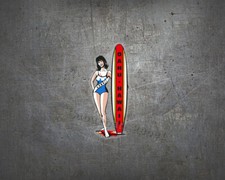 Oahu Hawaii Aufkleber -