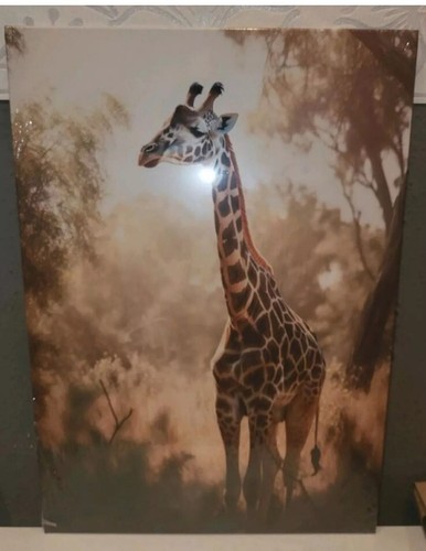 Displate metallbild 30x40cm - metallbild,