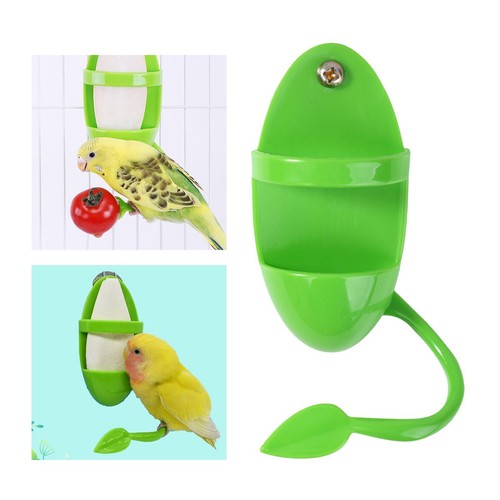 Haustier papagei futterspender - papagei,