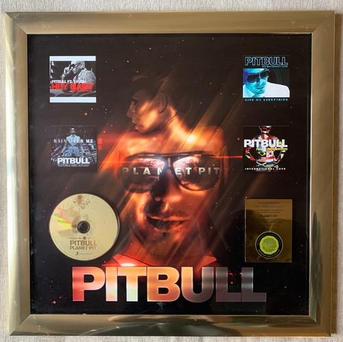 Pitbull german gold award - pitbull,