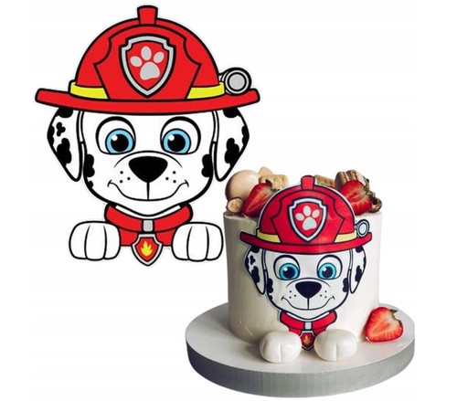 Paw patrol ryder 14x10cm - paw,