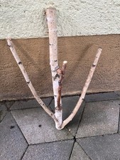 Ast Birkenzweig Deko DIY