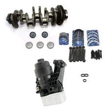 Kurbelwelle+Froststopfen+Lager