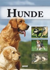Buch, Bücher, Ratgeber Hunde