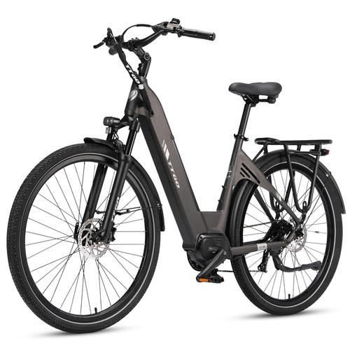 250w mittelmotor - 250w,