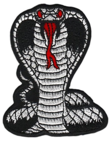 An45 kobra schlange cobra - schlange,