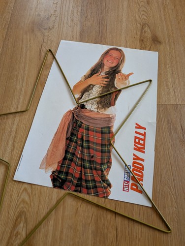 Kelly family poster hit paddy - poster,