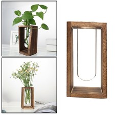 Glas Hydrokultur Pflanzen Vase