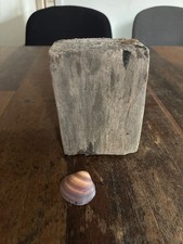 Schwemmholz Treibholz Skulptur