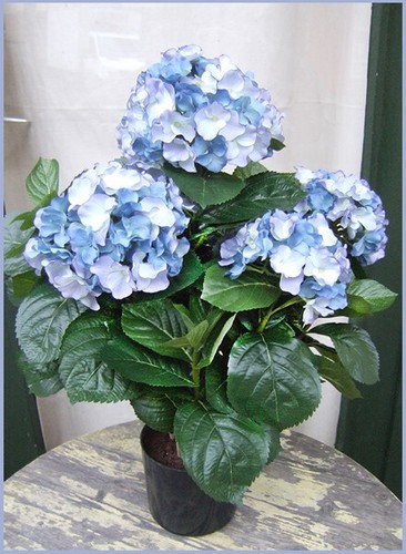 Künstliche hortensie blau - künstliche, hortensie,blau-