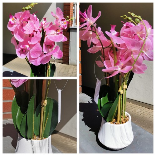 Lumida orchidee pink - neu, 50cm