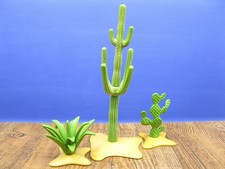 2 Kakteen 1 Agave Western