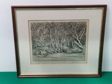 Gerahmte Bäume in der