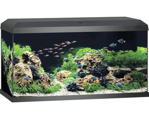 Juwel aquarium primo 110 - juwel,