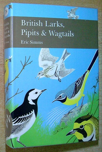 Simms eric larks pipits - simms,, larks,