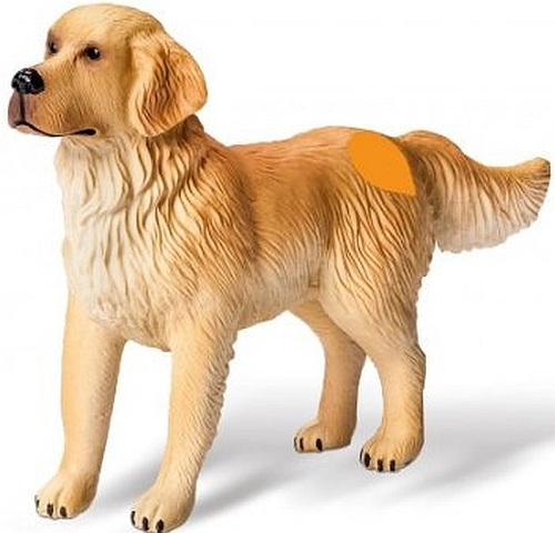 Tiptoi hund tiere - tiptoi,