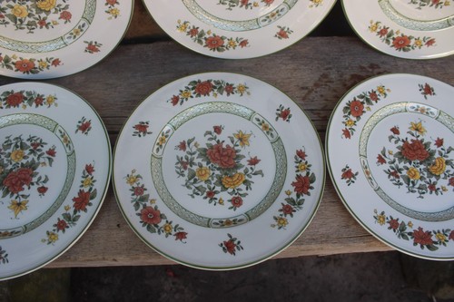 6er set kuchenteller - 6er,
