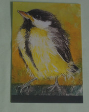 1x Postkarten Kohlmeise Loes