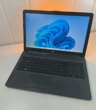 Linux Mint + Windows 11 Dual