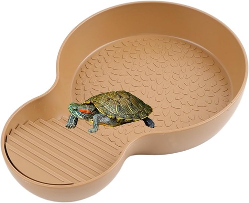 Wasserschale schildkröten - wasserschale,