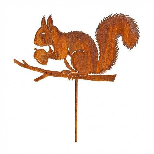Edelrost eichhörnchen mit - edelrost,