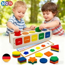 3-in-1 Montessori Spielzeug