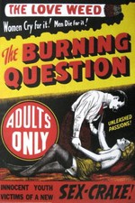 CANNABIS MARIJUANA GRASS MARY