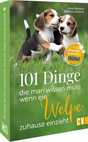 Anna bleibtreu 101 dinge - anna,