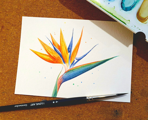 Original aquarell strelitzia - original,