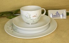 Rosenthal century blütentraum - rosenthal,